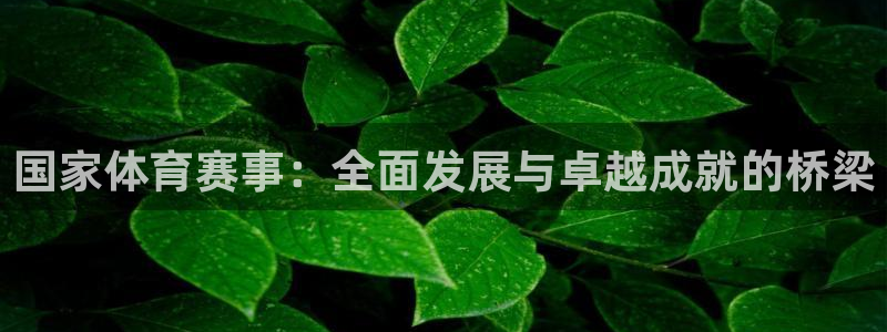 3377体育全网