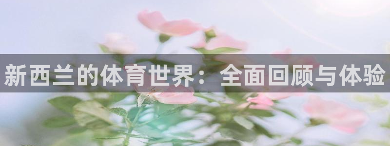 3377体育全网