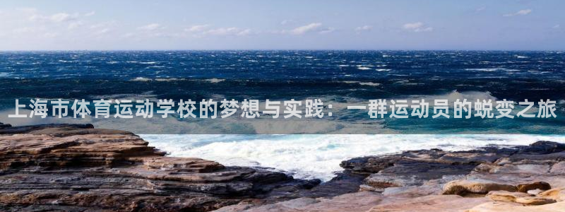 3377体育app登录入口