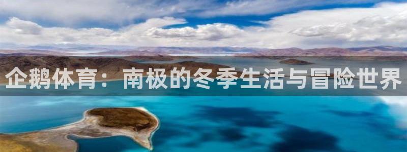 3377体育app下载安装