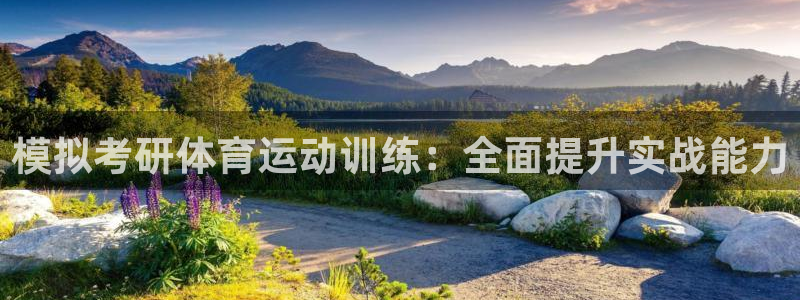 3377体育官网入口网页版