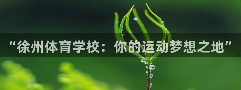 3377体育中国官方网站入口