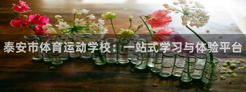 3377体育网页登录入口