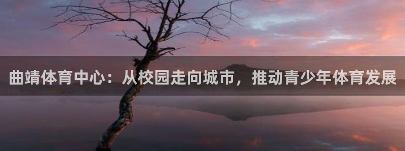3377体育是正规的吗