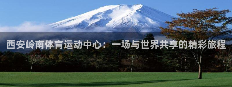 3377体育官网入口下载最新